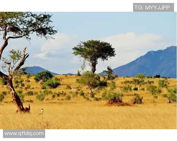 亚马尔地区的能源战略与全球气候变化的深远影响分析